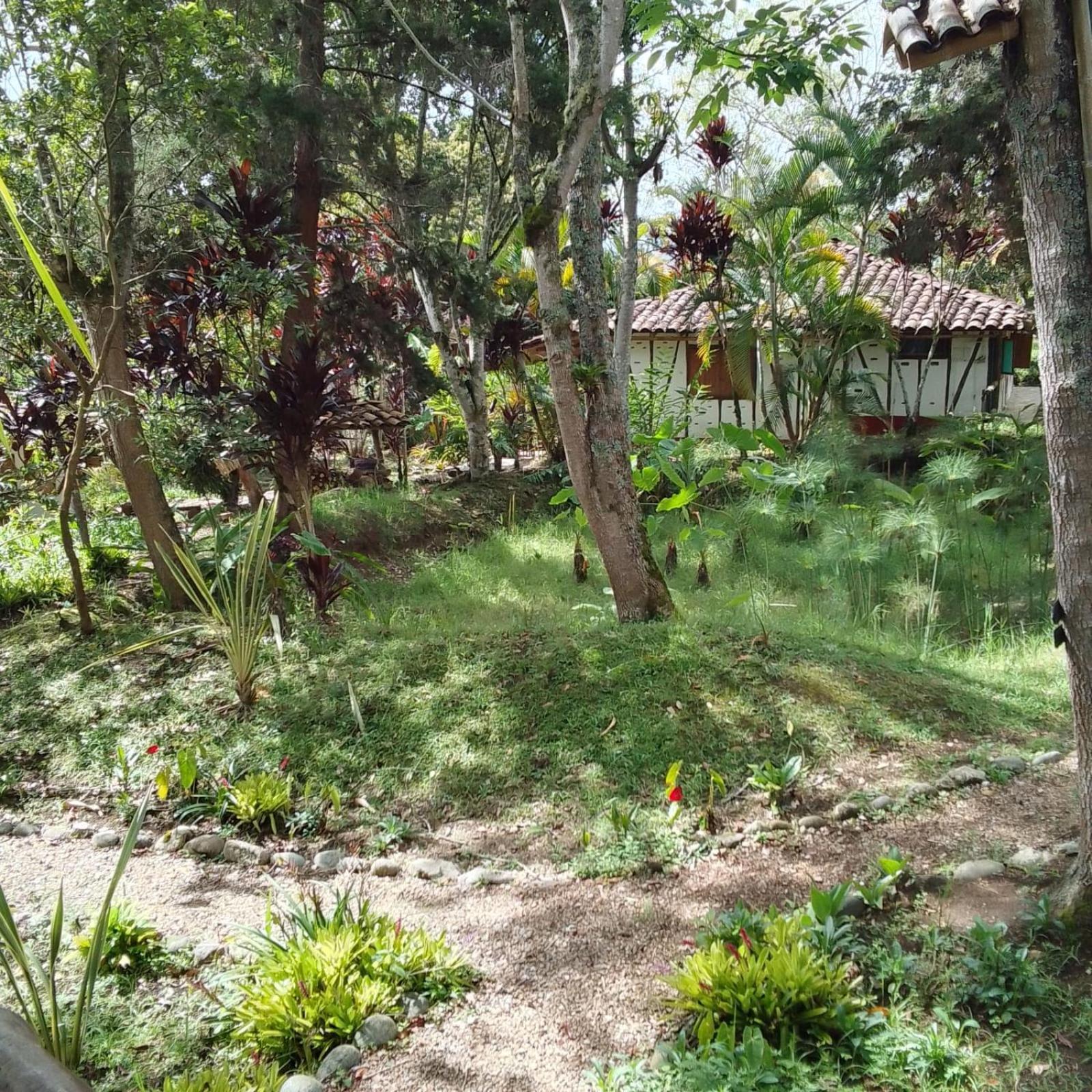 Hotel La Casa De Francois San Agustín Exteriör bild